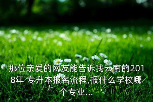 那位親愛的網友能告訴我云南的2018年 專升本報名流程,報什么學校哪個專業(yè)...
