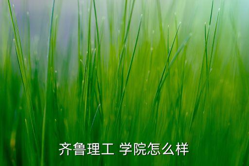 齊魯理工 學院怎么樣