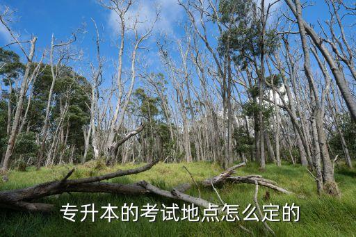 浙江專(zhuān)升本考場(chǎng)分布,2023年浙江專(zhuān)升本考場(chǎng)