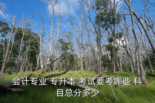 會(huì)計(jì)系專升本考試科目,煙臺(tái)職業(yè)學(xué)院會(huì)計(jì)系專升本