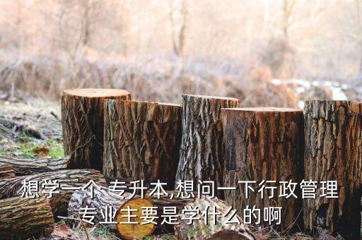 2018專(zhuān)升本政治怎么學(xué),成人高考專(zhuān)升本政治怎么學(xué)