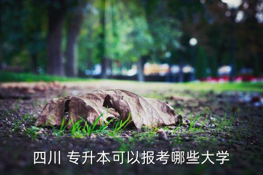 四川 專(zhuān)升本可以報(bào)考哪些大學(xué)