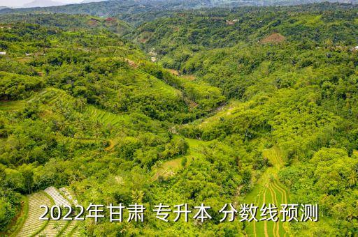 2022年甘肅 專升本 分?jǐn)?shù)線預(yù)測