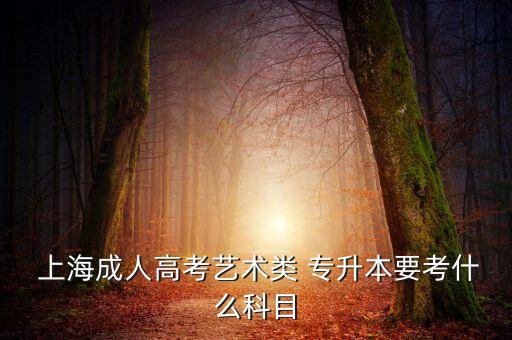 上海美術(shù)系專(zhuān)升本,美術(shù)系專(zhuān)升本考試科目
