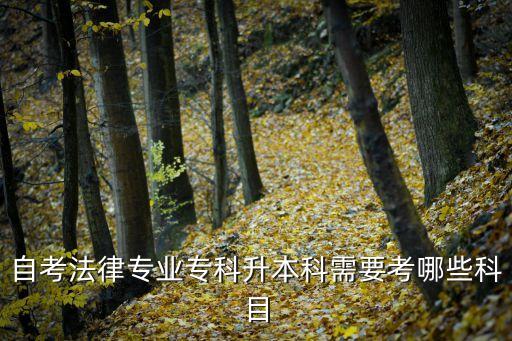 自考法律專業(yè)?？粕究菩枰寄男┛颇? class=