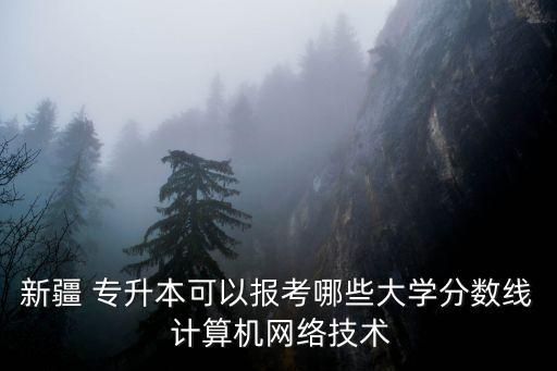 新疆 專升本可以報考哪些大學(xué)分?jǐn)?shù)線 計算機網(wǎng)絡(luò)技術(shù)