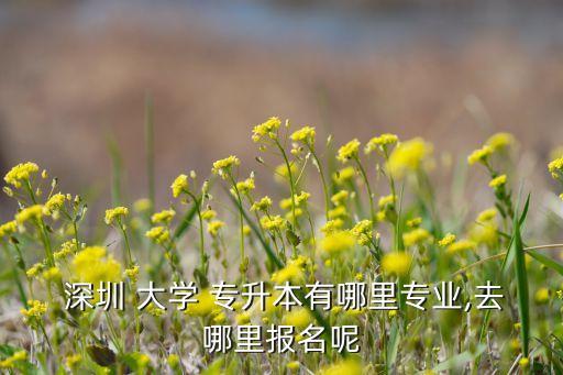  深圳 大學(xué) 專升本有哪里專業(yè),去哪里報名呢