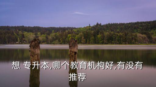 想 專升本,哪個教育機(jī)構(gòu)好,有沒有推薦