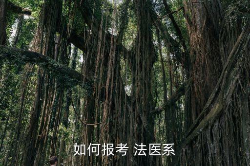 如何報考 法醫(yī)系