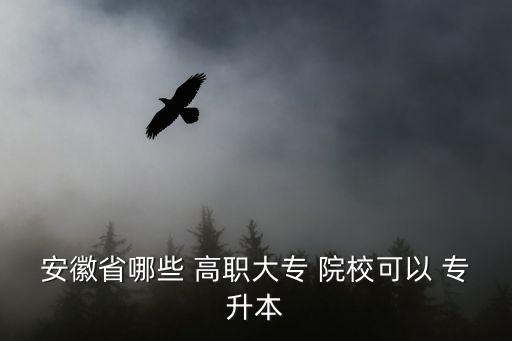 安徽省哪些 高職大專 院?？梢?專升本
