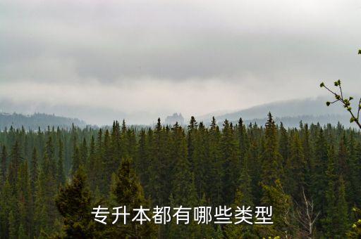  專(zhuān)升本都有哪些類(lèi)型