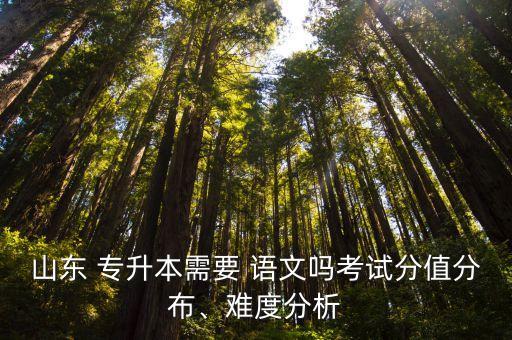 山東 專升本需要 語文嗎考試分值分布、難度分析