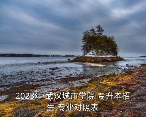2023年 武漢城市學院 專升本招生 專業(yè)對照表