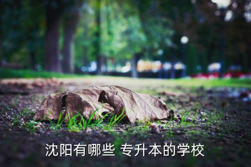沈陽(yáng)有哪些 專(zhuān)升本的學(xué)校