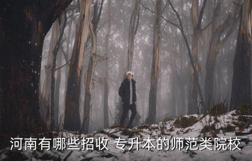 河南有哪些招收 專(zhuān)升本的師范類(lèi)院校