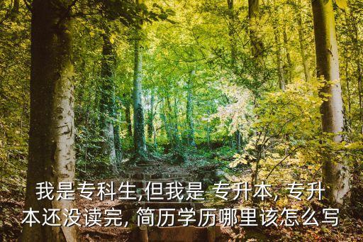 我是?？粕?但我是 專升本, 專升本還沒讀完, 簡歷學(xué)歷哪里該怎么寫