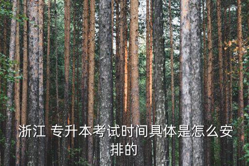  浙江 專(zhuān)升本考試時(shí)間具體是怎么安排的