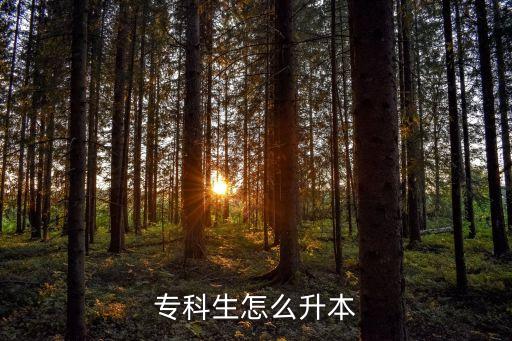 專科生怎么升本