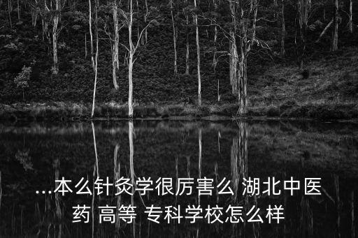 湖北高等醫(yī)學(xué)專(zhuān)科學(xué)校可以專(zhuān)升本嗎,湖北中醫(yī)藥高等醫(yī)學(xué)專(zhuān)科學(xué)校