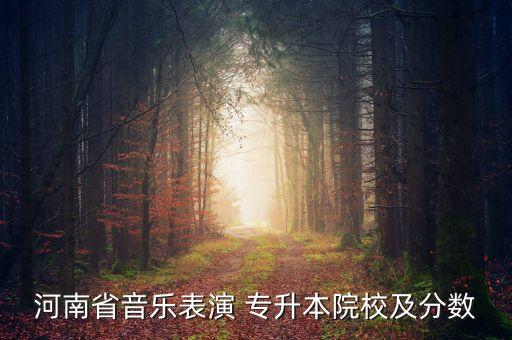 河南省音樂表演 專升本院校及分數