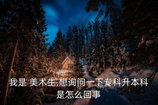 我是 美術(shù)生,想詢問(wèn)一下專科升本科是怎么回事