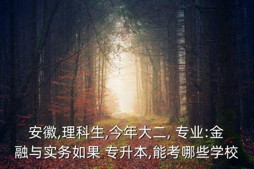 安徽,理科生,今年大二, 專業(yè):金融與實務(wù)如果 專升本,能考哪些學(xué)校