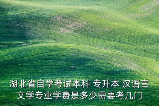 湖北省自學(xué)考試本科 專(zhuān)升本 漢語(yǔ)言文學(xué)專(zhuān)業(yè)學(xué)費(fèi)是多少需要考幾門(mén)