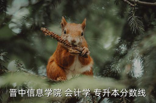 晉中信息學(xué)院 會(huì)計(jì)學(xué) 專(zhuān)升本分?jǐn)?shù)線