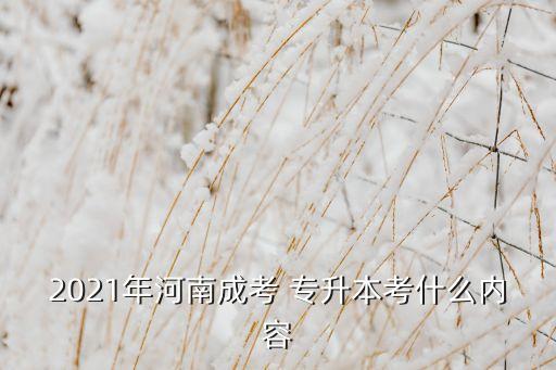 2021年河南成考 專升本考什么內(nèi)容