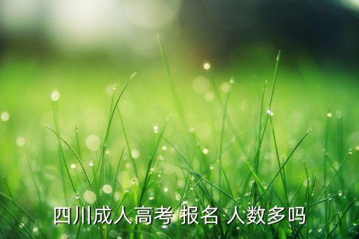 四川成人高考 報名 人數(shù)多嗎
