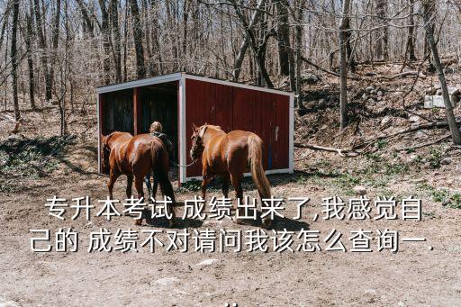  專升本考試 成績出來了,我感覺自己的 成績不對請問我該怎么查詢一...