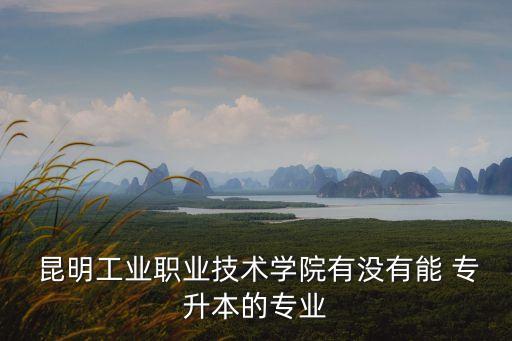  昆明工業(yè)職業(yè)技術(shù)學(xué)院有沒有能 專升本的專業(yè)