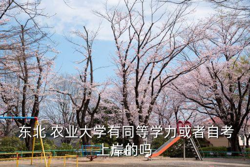  東北 農(nóng)業(yè)大學有同等學力或者自考上岸的嗎