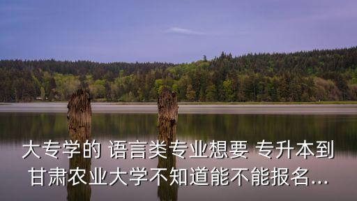 大專(zhuān)學(xué)的 語(yǔ)言類(lèi)專(zhuān)業(yè)想要 專(zhuān)升本到甘肅農(nóng)業(yè)大學(xué)不知道能不能報(bào)名...