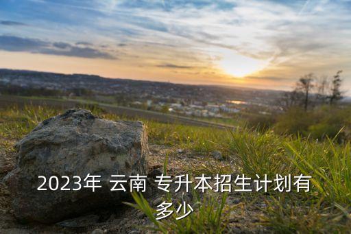 2023年 云南 專升本招生計劃有多少