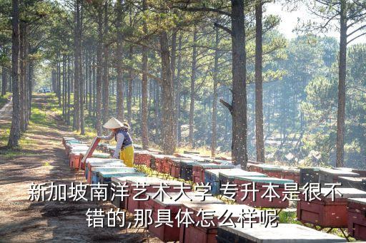  新加坡南洋藝術(shù)大學(xué) 專升本是很不錯(cuò)的,那具體怎么樣呢