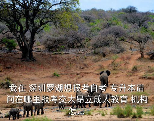 我在 深圳羅湖想報(bào)考自考 專升本請(qǐng)問在哪里報(bào)考交大昂立成人教育 機(jī)構(gòu)怎...