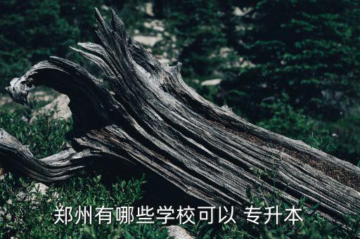 鄭州有哪些學(xué)?？梢?專升本