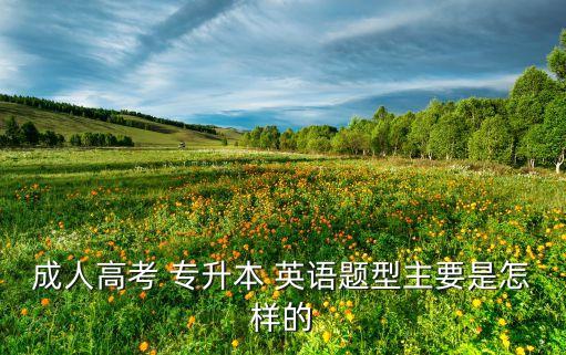 成人高考 專升本 英語題型主要是怎樣的