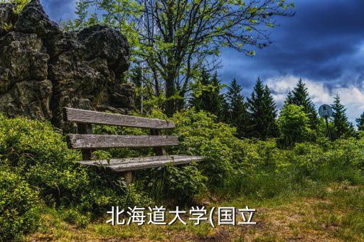 北海道大學(xué)(國(guó)立