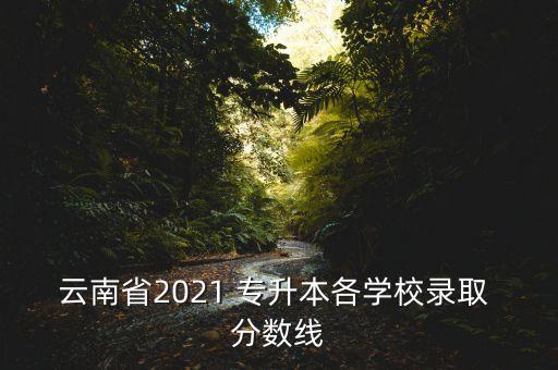 云南省2021 專升本各學校錄取 分數(shù)線