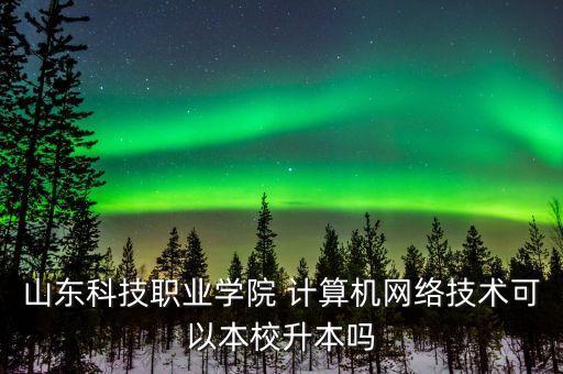 山東省計算機專升本