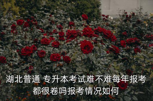 湖北普通 專(zhuān)升本考試難不難每年報(bào)考都很卷嗎報(bào)考情況如何
