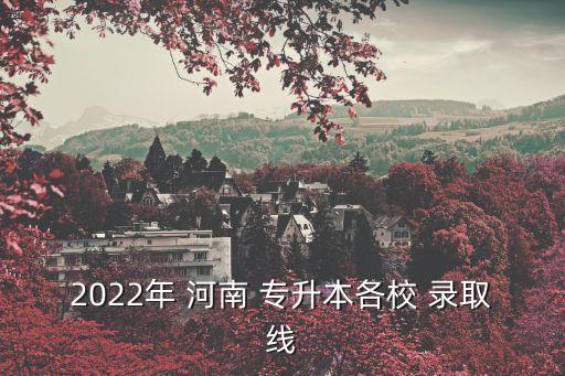 河南工程學(xué)院專升本錄取查詢