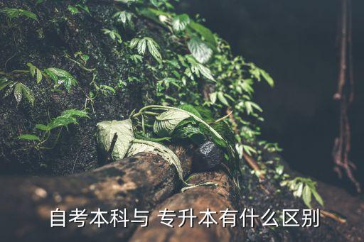 自考專(zhuān)升本普通專(zhuān)升本