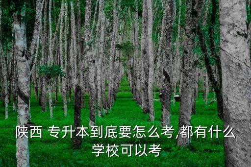 陜西 專升本到底要怎么考,都有什么 學(xué)?？梢钥? class=