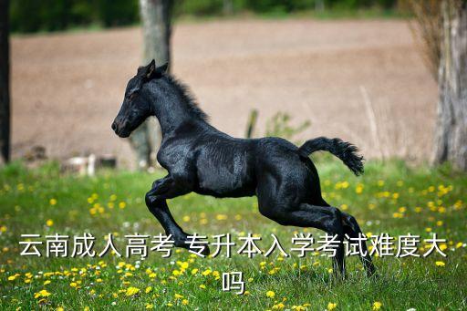 云南成人高考 專升本入學考試難度大嗎