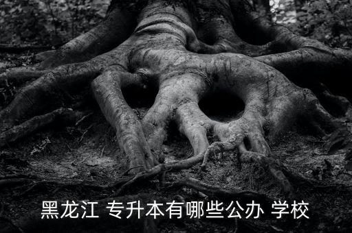 黑龍江 專升本有哪些公辦 學校