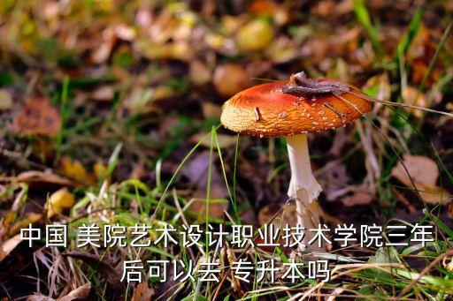 中國 美院藝術(shù)設(shè)計職業(yè)技術(shù)學院三年后可以去 專升本嗎