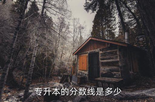 2017安徽專升本省控線,安徽專升本2017年考試時間